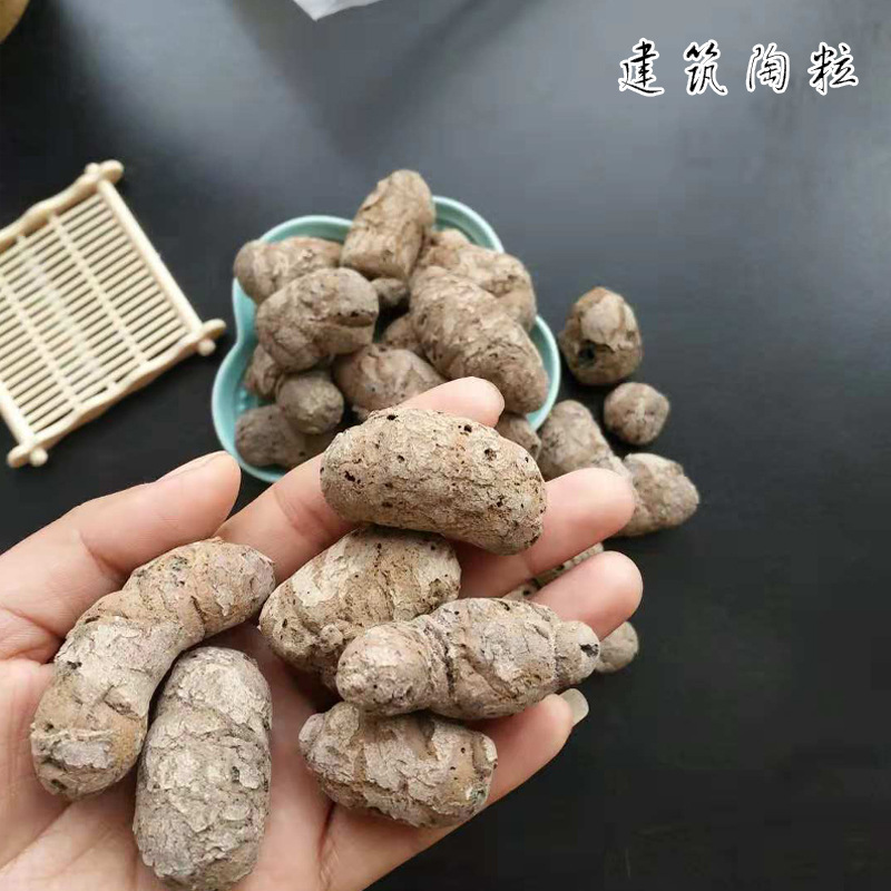 供应 园艺种植用陶粒建筑 陶粒 排水透气水处理用陶粒