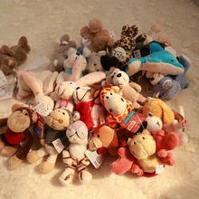 【美国小狮子】_美国小狮子品牌\/图片\/价格_美