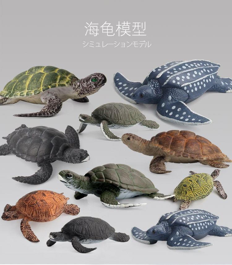 海龟模型_01