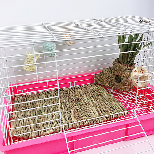 A variety of pet hamsters, rabbits, chinchillas, Dutch pigs, straw mats for teething, grass nests, thatched houses, straw mats