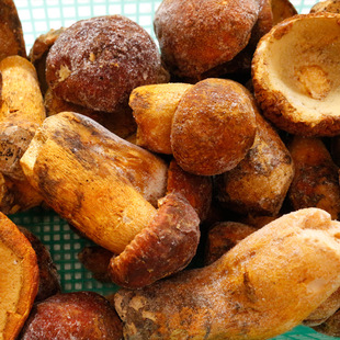 ����خaʳ�þ��Sţ�ξ��S���^1000���b�a��ֱ�����r�ك���ަҰ��