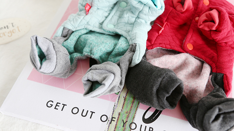 大眼圈圈四脚衣