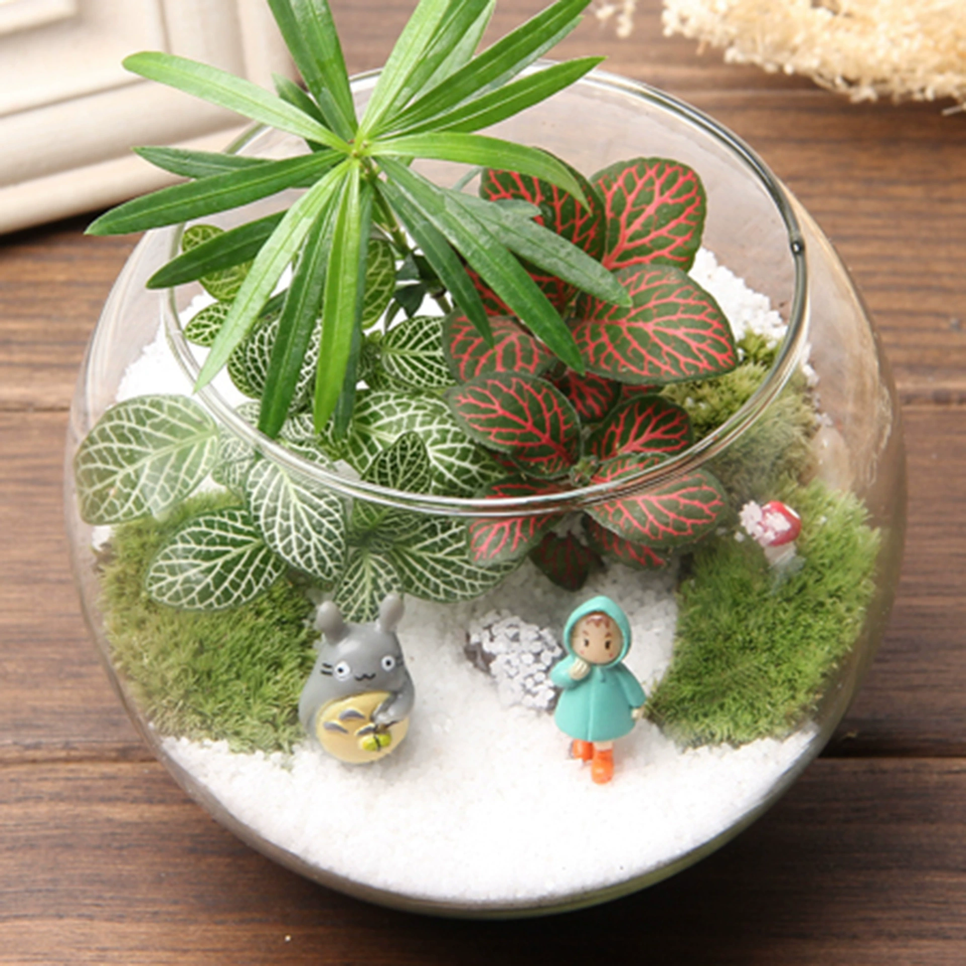 Мох Микро Пейзаж Креативные Подарочные Украшения Бутылка Моха Экологическая Бутылка Снег Творческие Растения Офисные Украшения