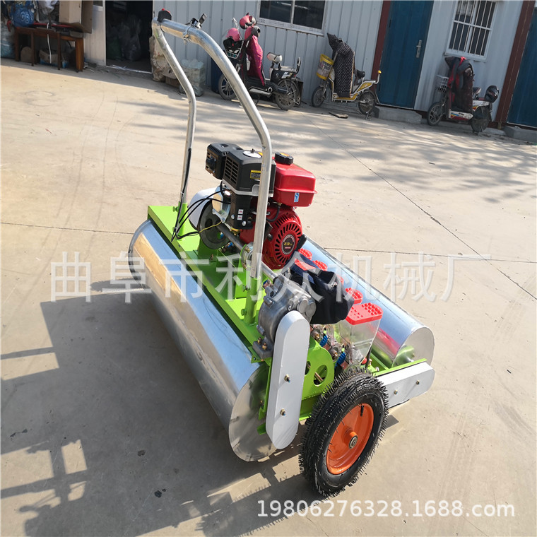 郊区多行菜籽育苗机 多行菜心播种机