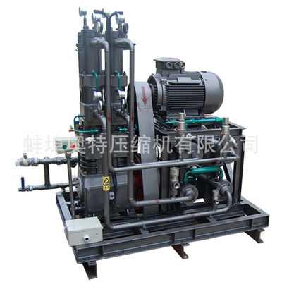 蚌埠奥特-ZW-0.018/5-150无油润滑氧气压缩机