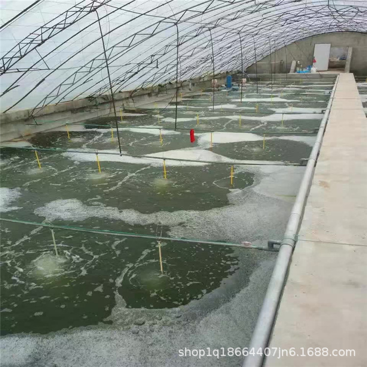 微信图片_20180710210347