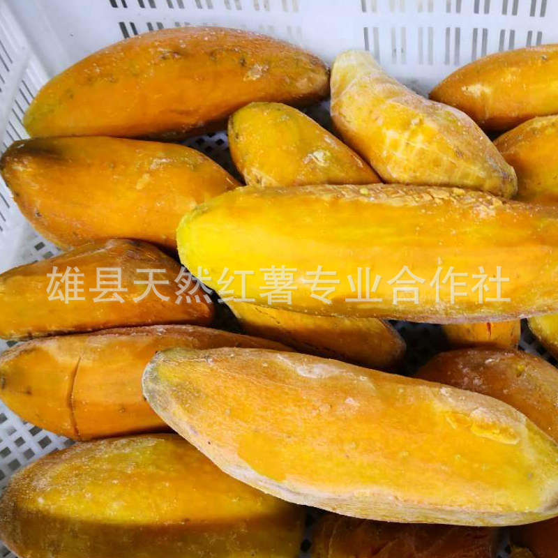 微信图片_20180905132658_副本1