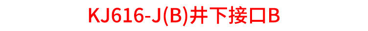 7-KJ616-J(B)井下接口B_15.jpg