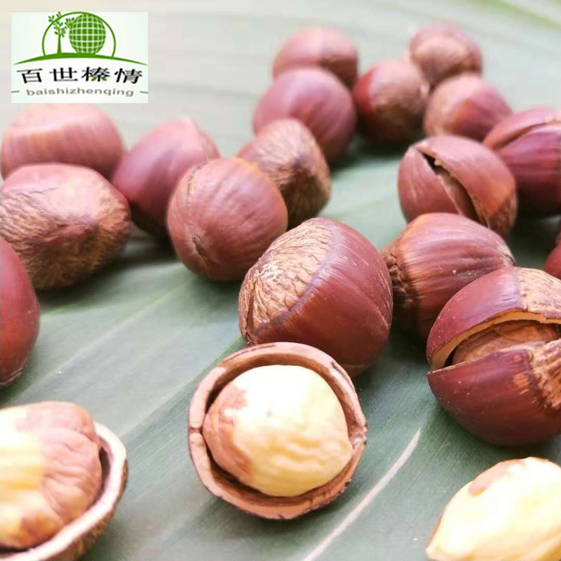 干果炒货百世榛情野生新货东北特产孕妇零食19斤批发大榛子坚果