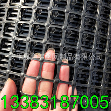 厂家生产 散养鸡 黑色塑料养殖网 围网 抗老化 寿命10年以上