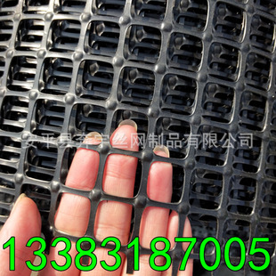 �S�����a ɢ�B�u ��ɫ�����Bֳ�W ���W ���ϻ� ����10������