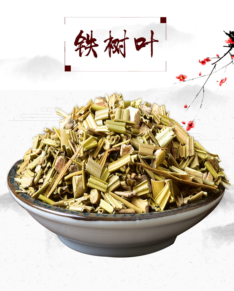 Tie Shu Ye (Cycas revoluta) Dried Leaf — Traditional Chinese Herbal Botanical, 500g overview