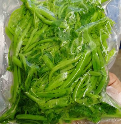 Moringa Place of Origin wholesale Moringa oleifera Moringa leaf Fresh leaves of Moringa oleifera Cold Chain transport Moringa wholesale