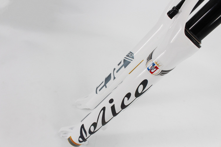 FEILICE RC216.jpg