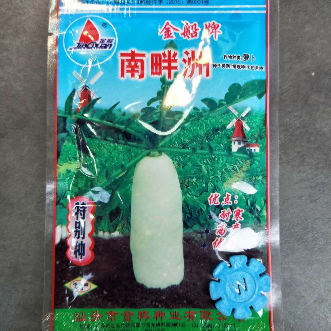 金船牌马耳早/短叶13/南畔洲长白萝卜种子 萝卜菜种子耐寒50g