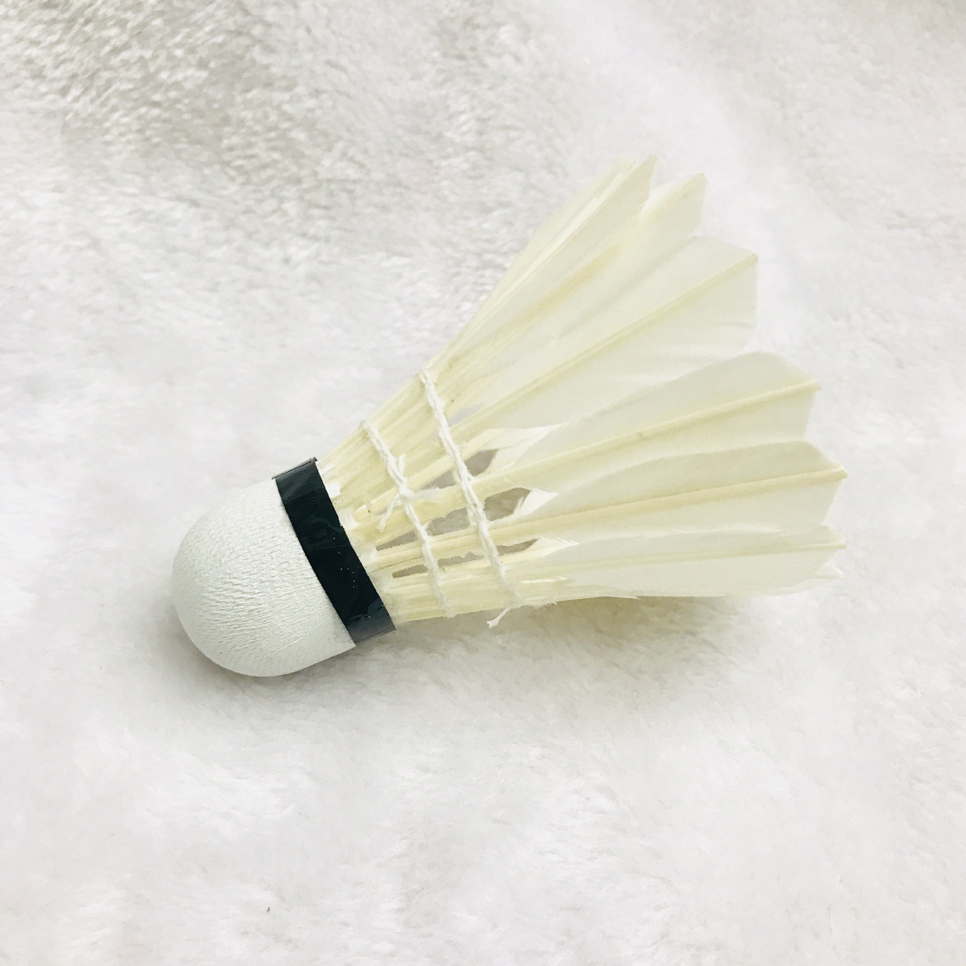 IMG_3119(20180305-112213)