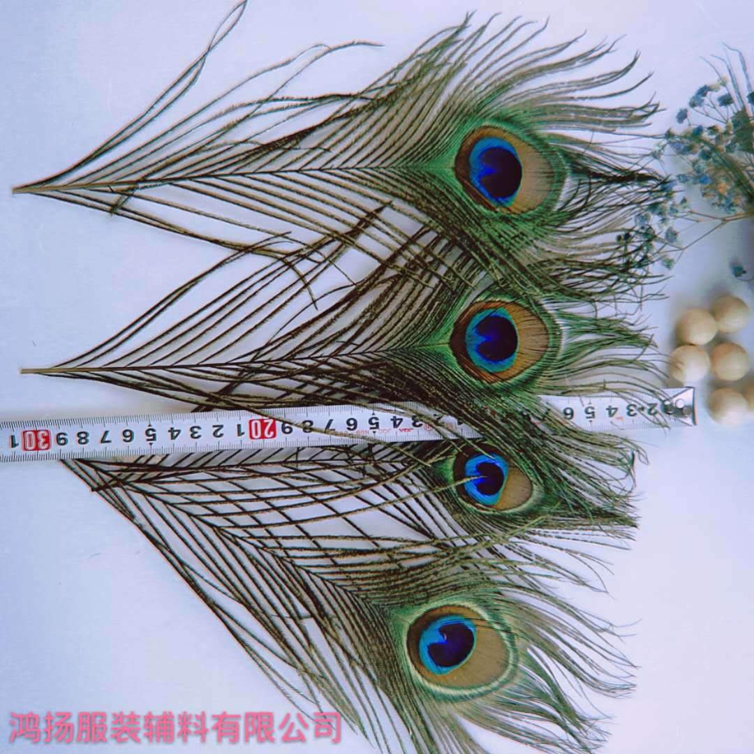 微信图片_20180909134848