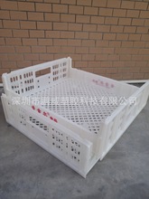 �S��ֱ�N ��ɫ��������� �ߜغ濾ʳƷͨ������� �Ɇ���LOGO