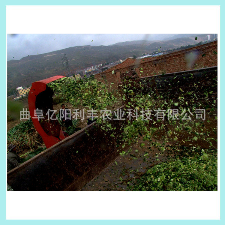 大型铡草机 青贮切碎铡草机 呼和浩特秸秆铡草机