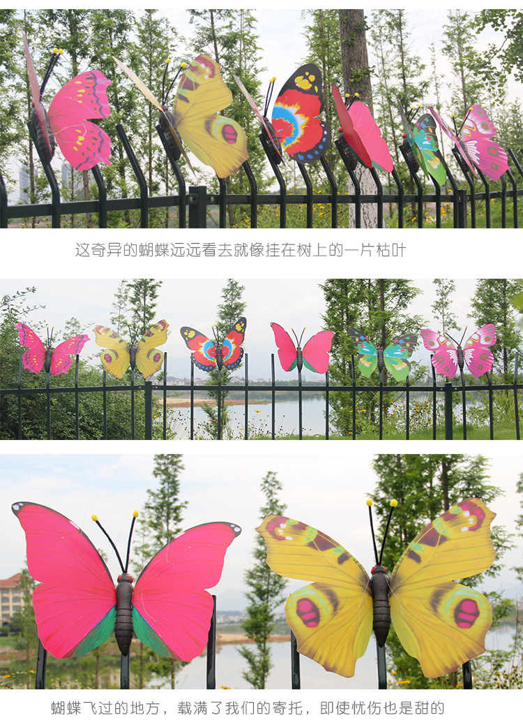 蝴蝶最新、_15.jpg