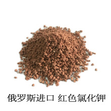 �S�ҬF؛����  �tɫ�Ȼ�⛷ʛ_ʩ�ʵ׷��r�Iˮ�a�Bֳͨ���ͬF؛���l