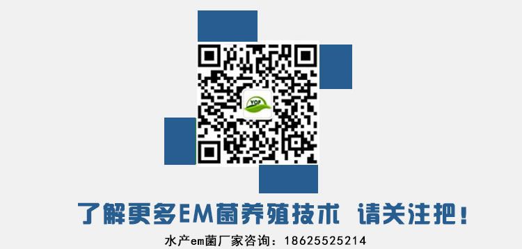 启富水产EM菌联系厂家