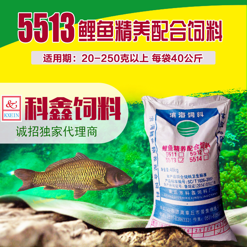 派旺渔饵打窝颗粒鱼饲料水产养殖鲤草鱼颗粒鱼饵钓鱼料厂价批发
