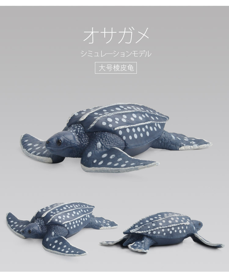 海龟模型_06