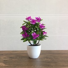 Cây nhân tạo trồng trong chậu Cây hoa nhựa mới Hoa nhựa giả hoa chậu trang trí cảnh quan đặt trang trí nội thất hoa nhân tạo Nồi mô phỏng