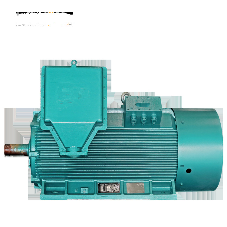 YBX2-4003-2 400KW 6000Vѹ