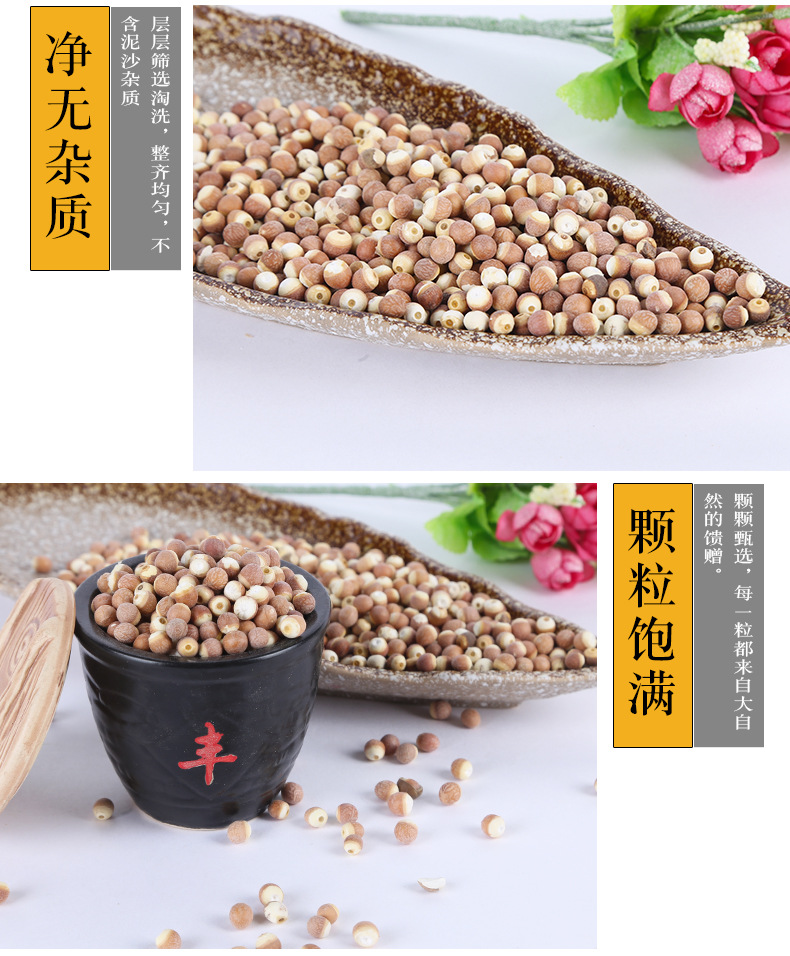 Dried Euryale Seed Qian Shi Whole Gorgon Fruit 500g Low Temperature Roasted for Grinding in use