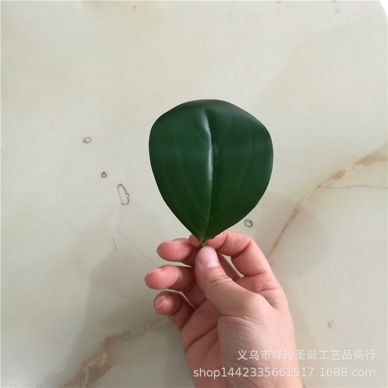 仿真植物仿真圆叶 大豆瓣叶 过胶布叶子 胶片叶子 绿植把束叶片