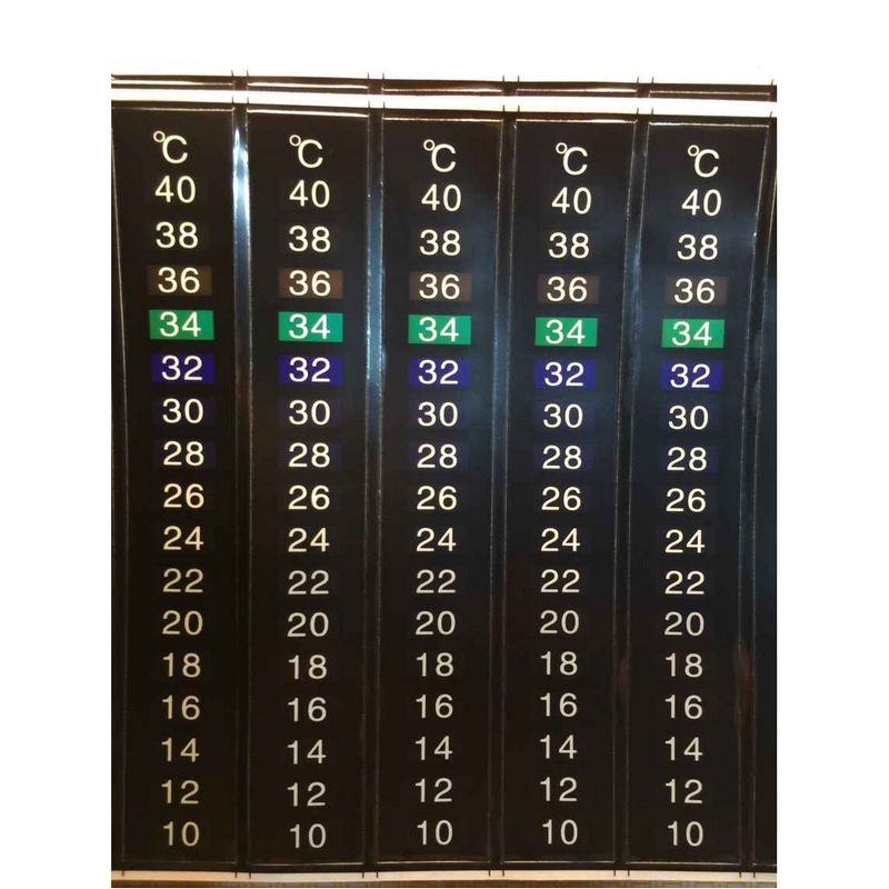 AF4AE5344F85C56AAE606652E33DFE