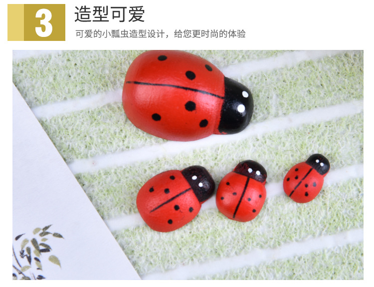 红色瓢虫_07