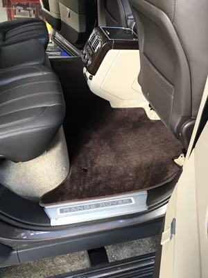 protection mat special car Car Carpet