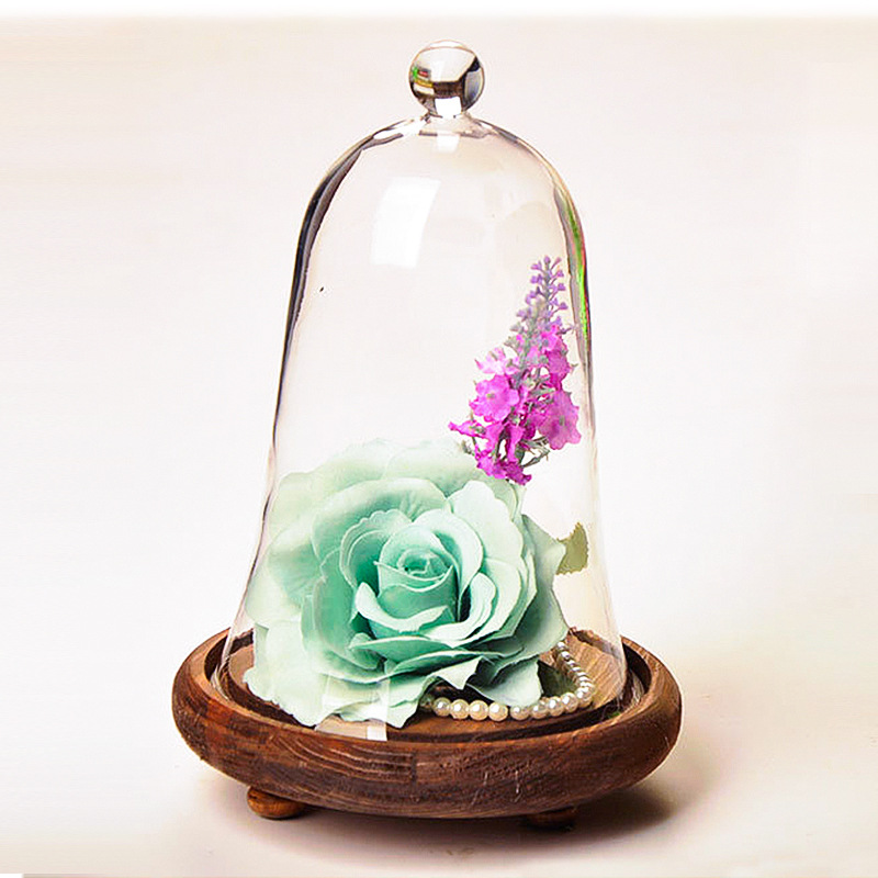 Cubierta de paisaje de vidrio creativo nuevo DIY cubierta de vidrio micro paisaje florero flores eterna cubierta de la flor