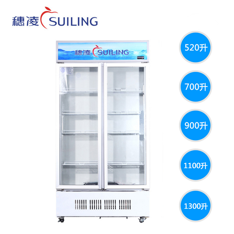 穗凌商用超市立式冷藏保鲜展示冰柜对开门陈列冷柜