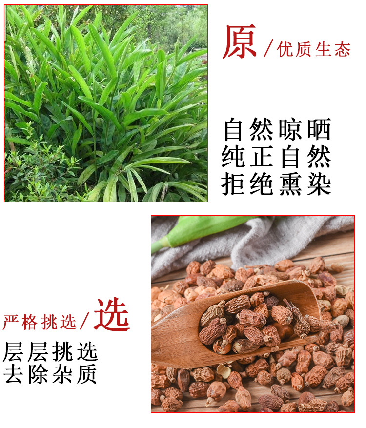 Hong Dou Kou (Alpinia galanga) — Dried Red Cardamom Spice for Hot Pot & Herbal Blends key features