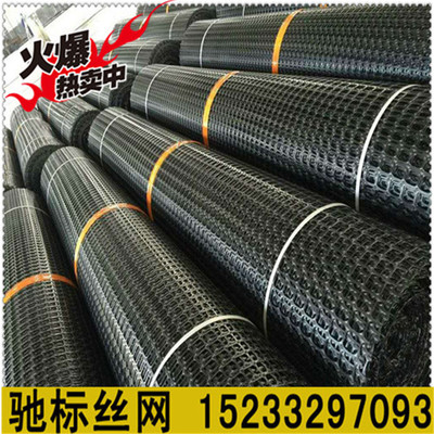 专业生产土工格栅网 塑料养殖网 围栏网 拦鸡网 圈地围栏网护栏网|ms