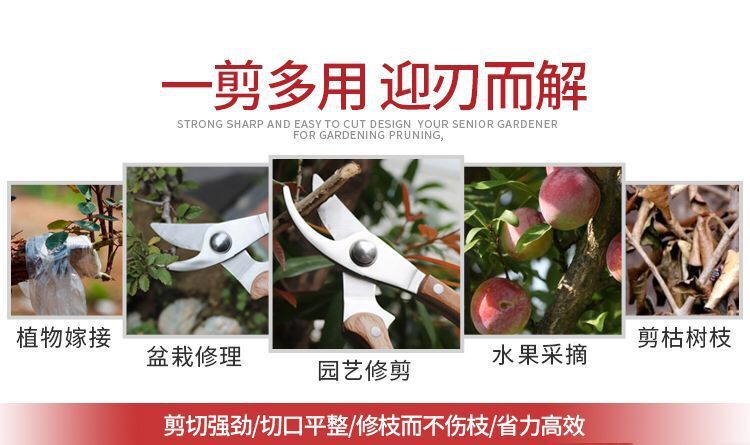 花园剪4