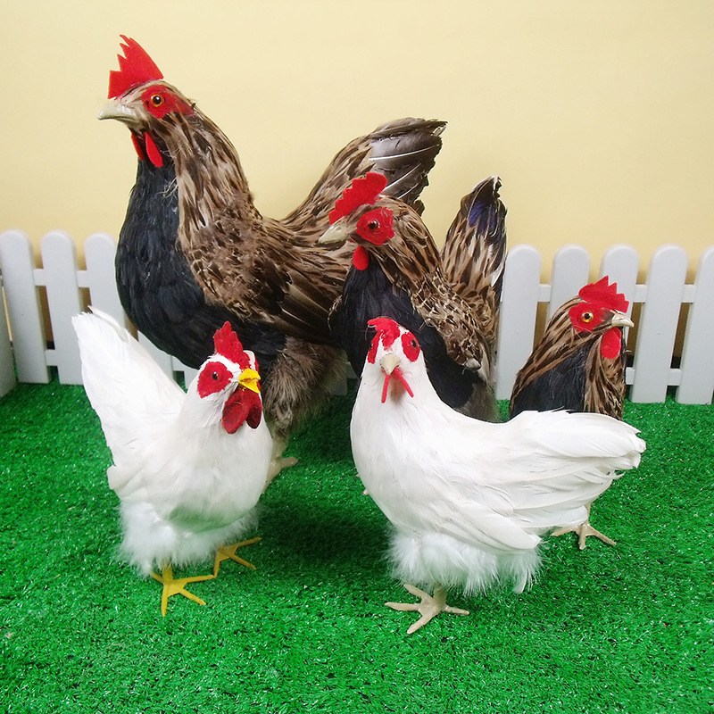 厂家批发仿真母鸡公鸡大中小羽毛软装工艺品家居摆件教学影视道具|ms