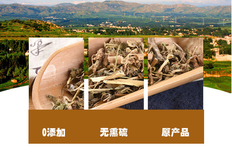 Mao Yan Cao (Euphorbia helioscopia) — Dried Whole Herb, Unsulfured, Anhui Origin quality and texture