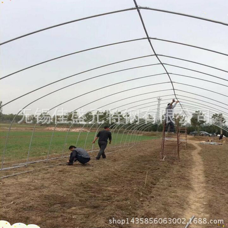 农用养殖蔬菜大棚骨架单体插地拱形大棚4分6分镀锌单体连体钢管