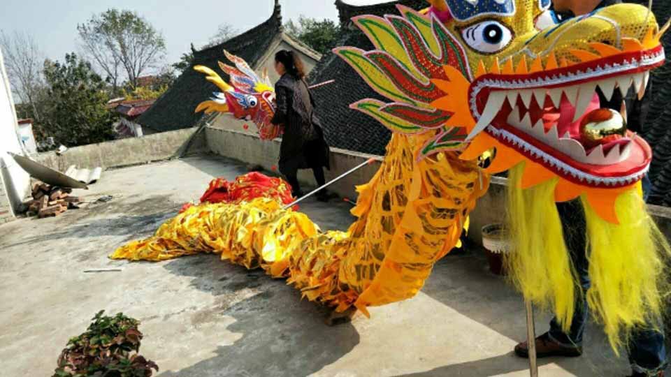 Henan Pretty Manufactor Dragon Dance Lion Gilding Zaohuo prop festival celebration wholesale Customized