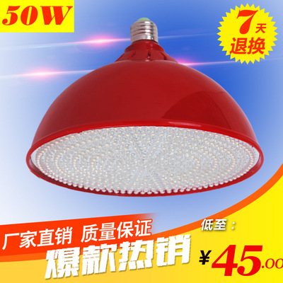 LED生鲜灯猪肉灯熟食灯红色海鲜灯面食灯超市水果灯厂家直销|ms