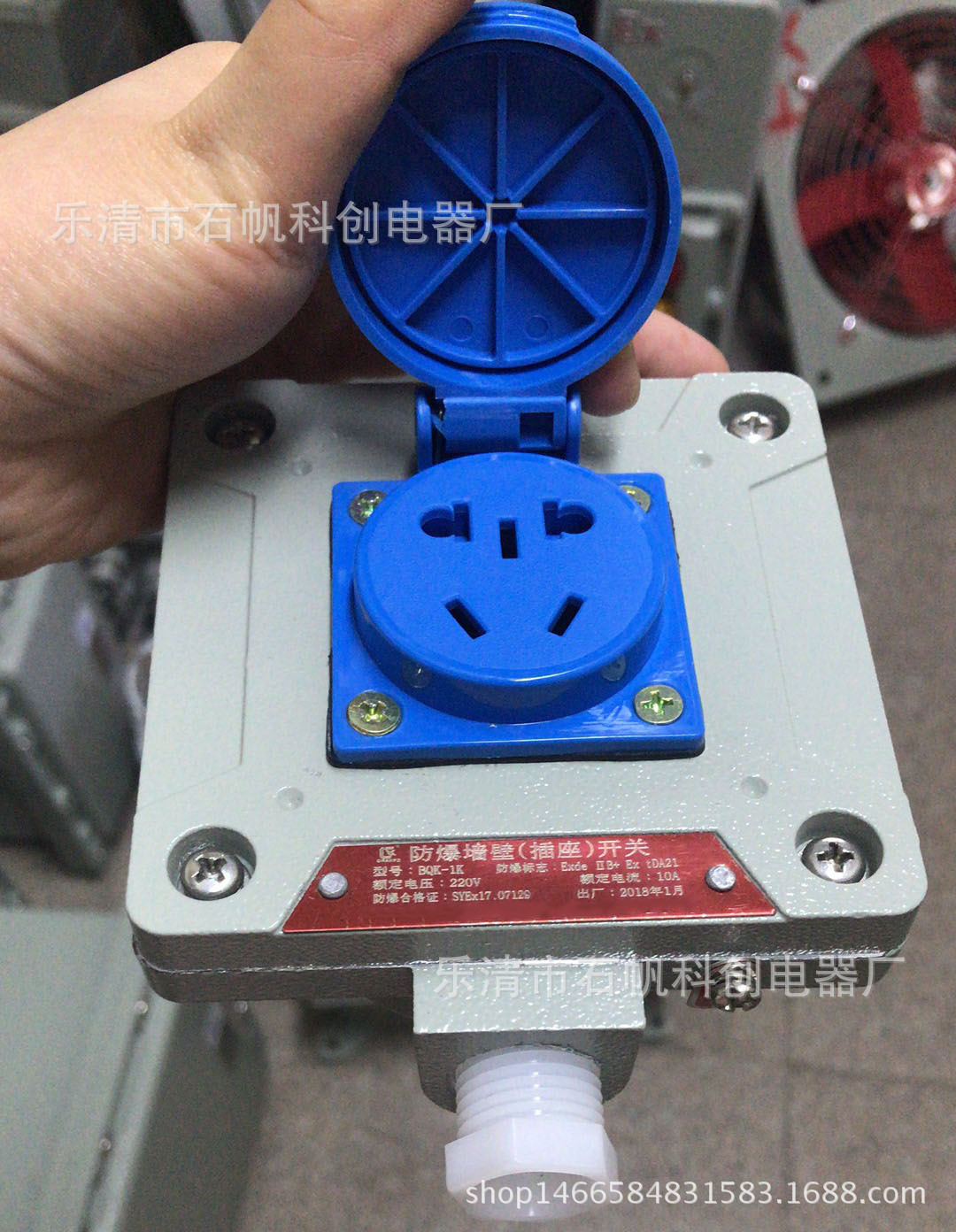 BQK-1K 新型防爆墙壁开关插座 照明开关插座电压220v 10A