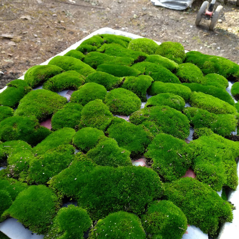 TB24pZ8gpOWBuNjy0FiXXXFxVXa_!!