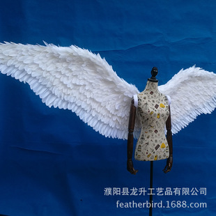 �S�������������ģ����ʹ��ë�����ߔ[�������赸܇չ���b��