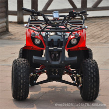 Сţ݆Ħ܇ɽسɳ܇125CC늄SԽҰ܇ATV