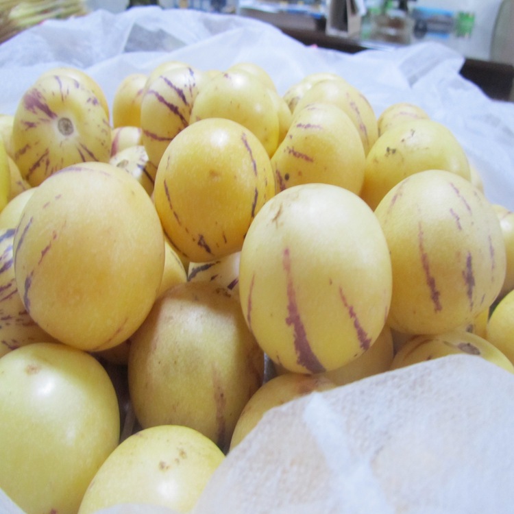 Part region Enjoy Limit supply Yellow Heart Small 2 Just International Fruit Free of charge